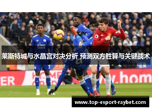 莱斯特城与水晶宫对决分析 预测双方胜算与关键战术